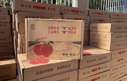 pg模拟器“扶贫助农，振兴乡村”活动